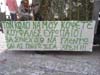carnival_ana 029